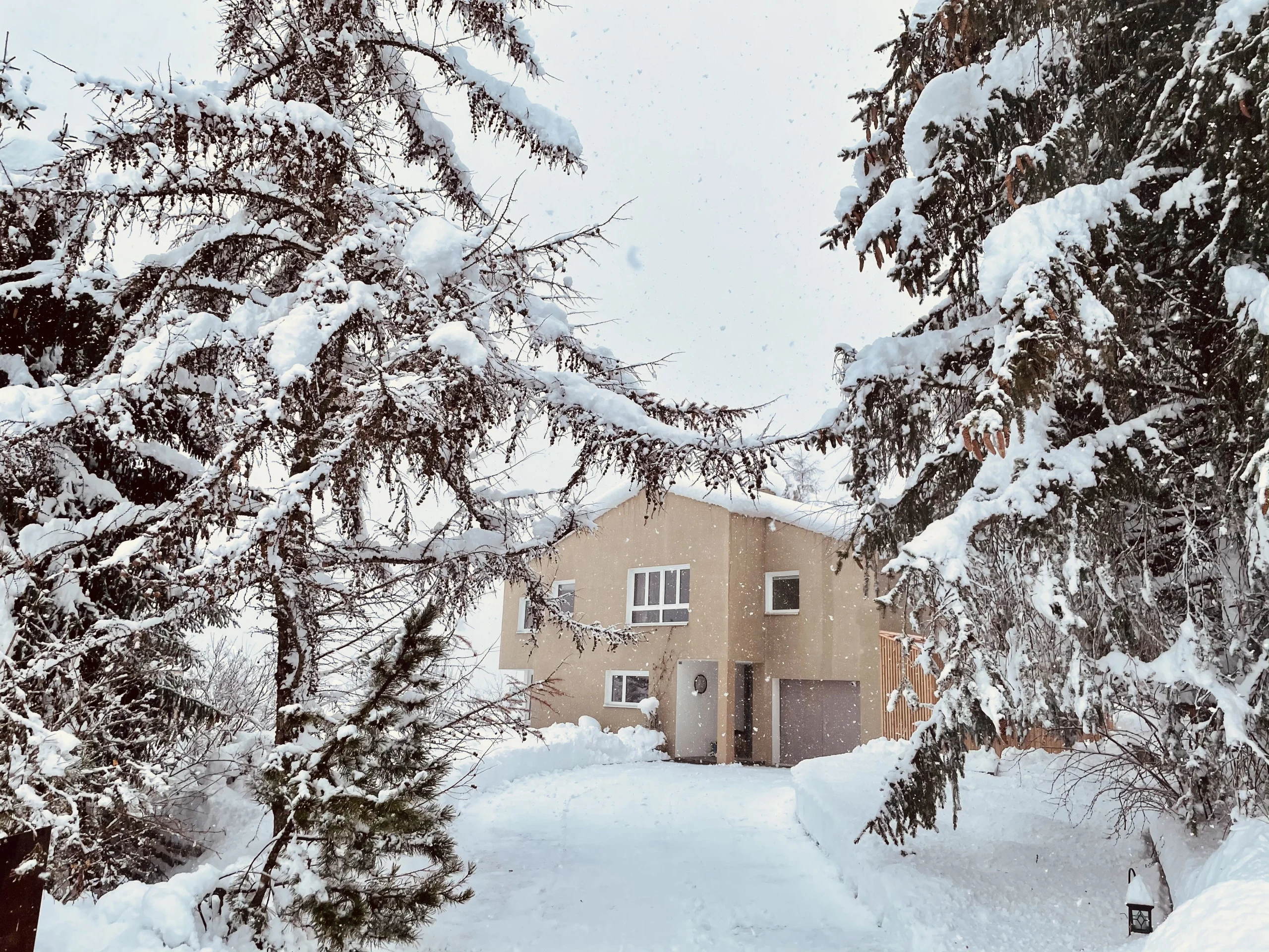 Die Chasa Val 17 zwischen verschneiten Bäumen in Scuol